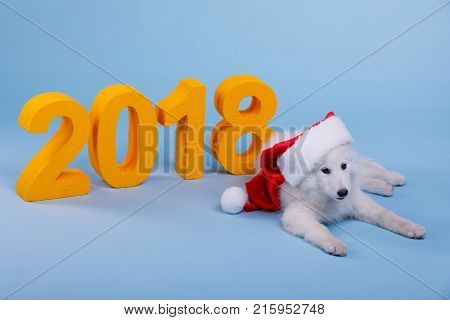 On a blue background, next to the orange large number 2018 is a small white fluffy puppy in a red Santa hat with white fur.