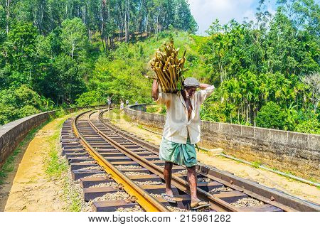 DEMODARA SRI LANKA - DECEMBER 1 2016: The farmer with massive armful of branches on his back goes along the Nine Arch Bridge on December 1 in Demodara.