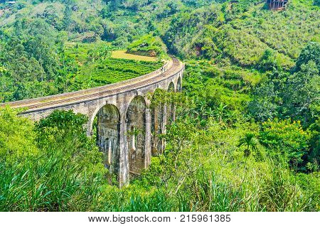 Damodara Landscape With Nine Arch Bridge