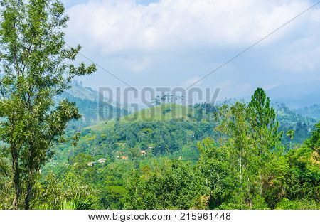 The walk among the lush greenery of the rainforest with a view on hills and mountains of Ella Sri Lanka.