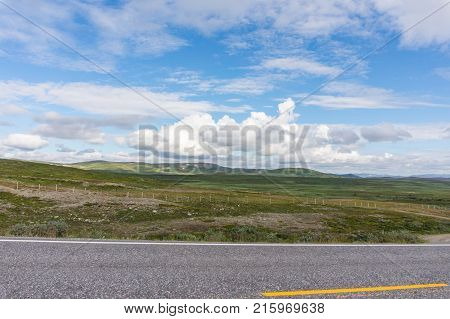 The characteristic landscape of the Arctic tundra. Low trees shrubs grass northern Norway