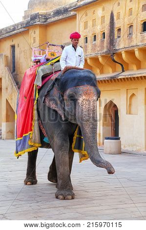 Amber, India - November 13: Unidentified Man Rides Decorated Elephant In Jaleb Chowk In Amber Fort O