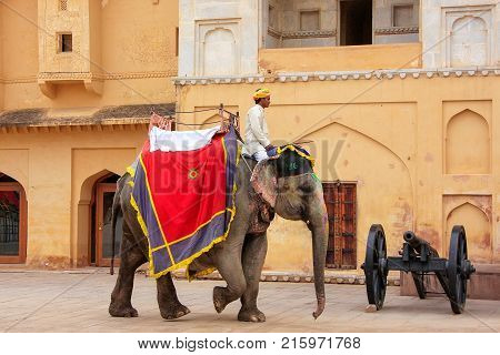 Amber, India - March 1: Unidentified Man Rides Decorated Elephants In Jaleb Chowk In Amber Fort On M