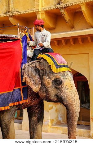 Amber, India - November 13: Unidentified Man Rides Decorated Elephant In Jaleb Chowk In Amber Fort O