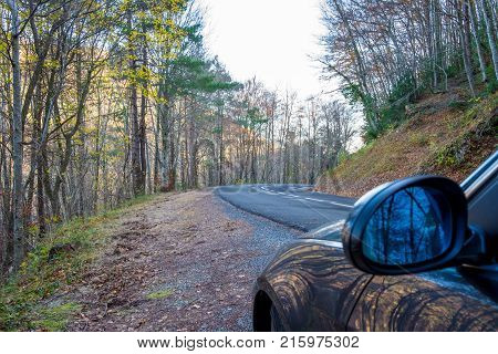 Road in yellow autumn forest near Sau reservoir in Catalonia Spain.