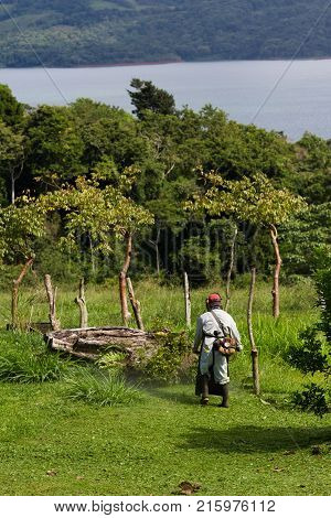 Mowing In Costa Rica