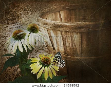 Sommerfugl på kegle blomst