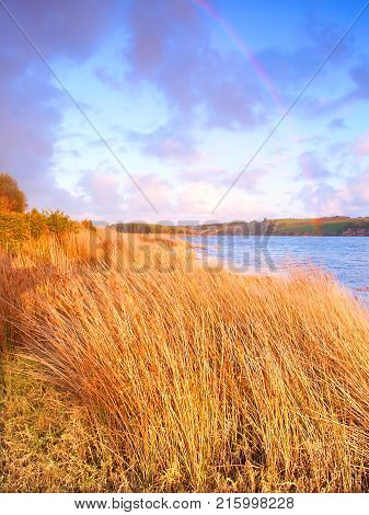 Hopkins River Landscape in Warrnambool, Victoria, Australia