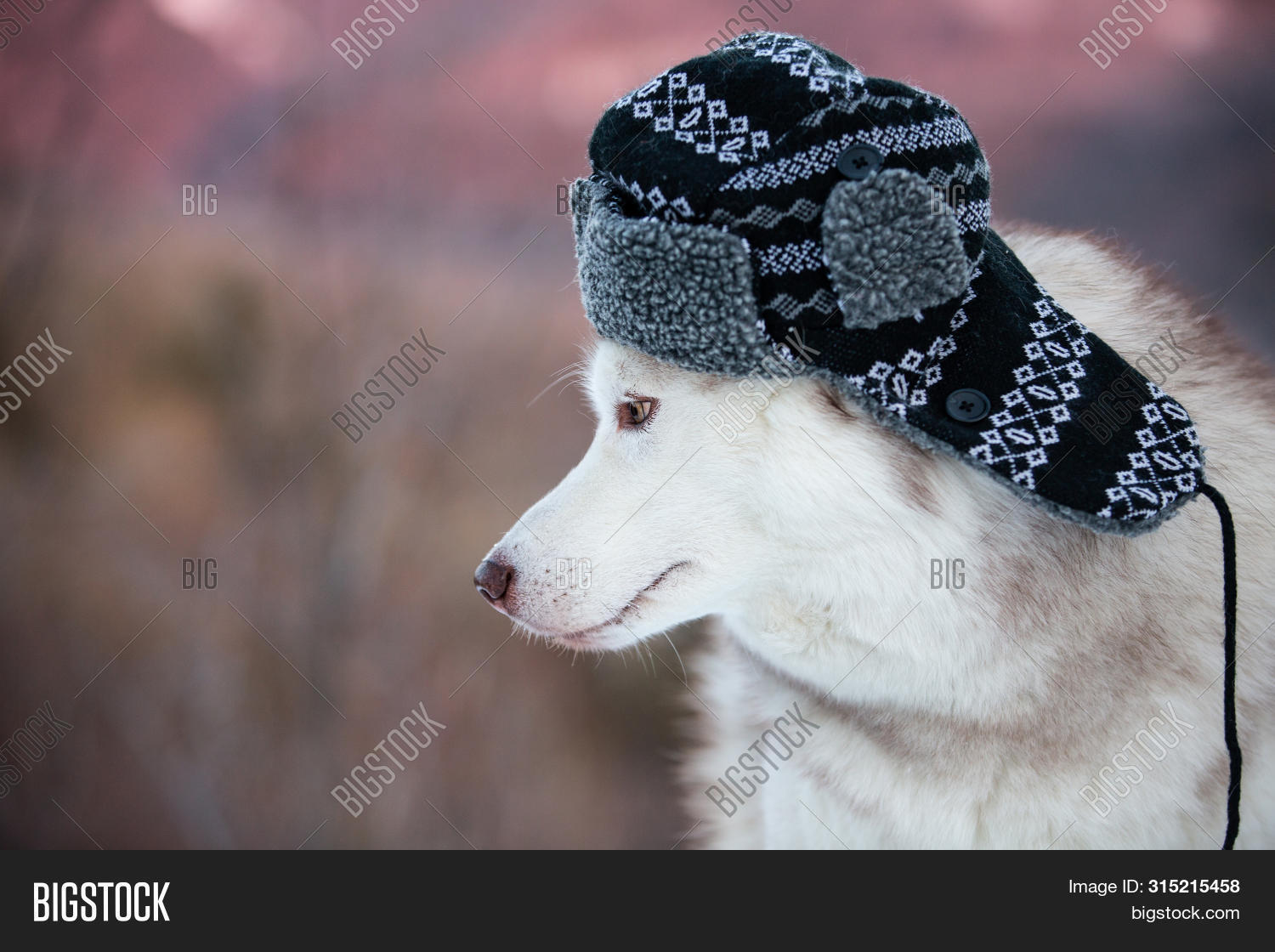 husky winter hat