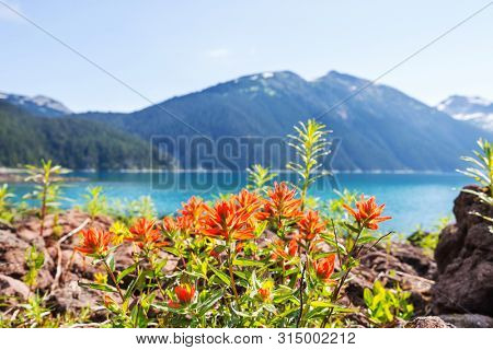 Hike to turquoise waters of picturesque Garibaldi Lake near Whistler, BC, Canada. Very popular hike destination in British Columbia.