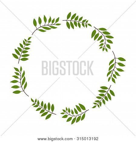 Frame For Highlights Background  Illustration. Background With Leaves Of Rowan, Green