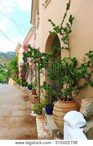 traditional greek housedoor and flowers