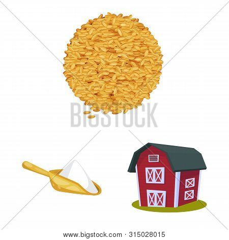 Isolated Object Of Wheat And Corn Logo. Collection Of Wheat And Harvest Vector Icon For Stock.