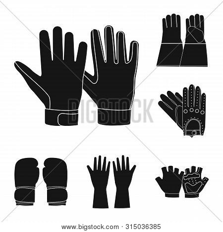 Vector Illustration Of Glove And Winter Logo. Collection Of Glove And Equipment Stock Vector Illustr