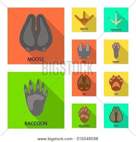 Isolated Object Of Step And Walk Logo. Set Of Step And Fauna Stock Symbol For Web.