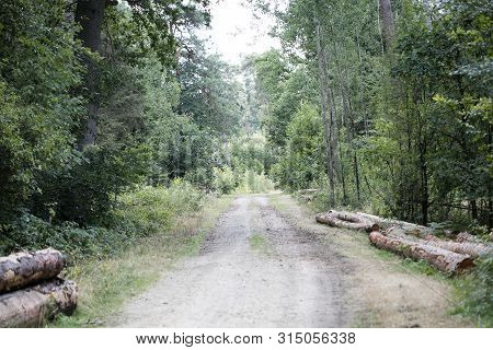 Walking On Wild Forest Road Dorsten Background Fine Art In High Quality Prints Products