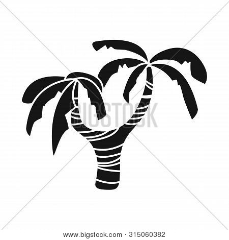 Vector Design Of Palm And Decoration Logo. Collection Of Palm And Forest Stock Vector Illustration.