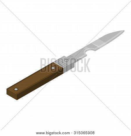 Kitchen Penknife Icon. Isometric Of Kitchen Penknife Icon For Web Design Isolated On White Backgroun