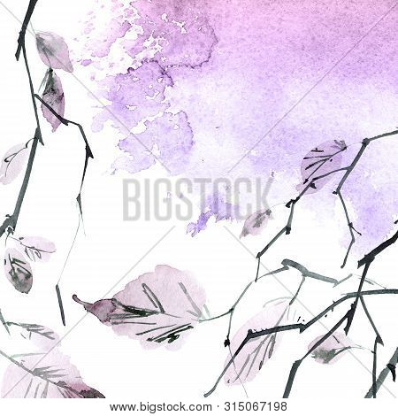 Watercolor And Ink Illustration Of Birch Tree Branch With Leaves, Sumi-e And U-sin Painting, Watersp