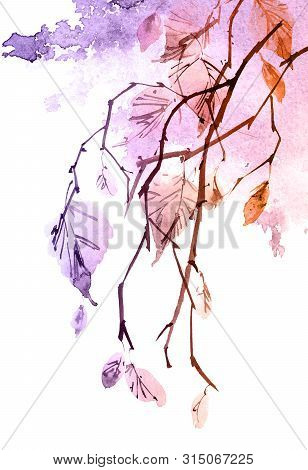 Watercolor And Ink Illustration Of Birch Tree Branch With Leaves, Sumi-e And U-sin Painting, Watersp