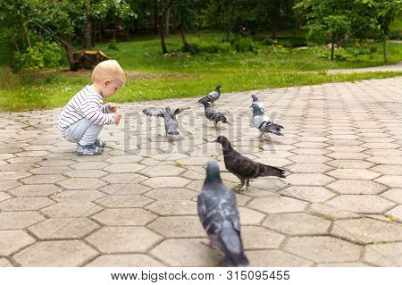 Child Sits In A Green Park In Summer, Holds Bird Food In His Hands And Examines Bread Crumbs That Ha