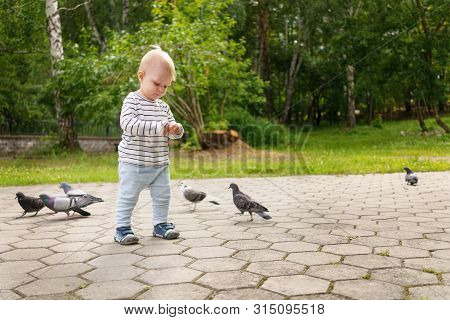Child Stands In A Summer Green Park And Considers Bird Food In Their Hands