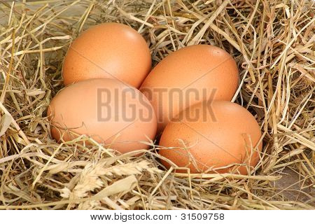 Vejce čerstvá Freerange
