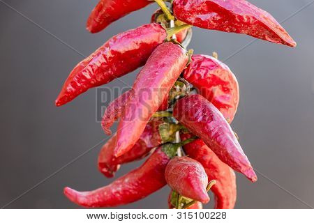 Red Chili Peppers Isolated On Grey Background