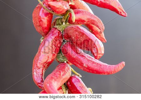 Red Chili Peppers Isolated On Grey Background, Serbia