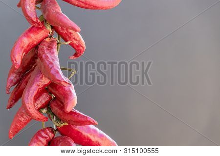 Dry Red Chili Peppers Isolated On A Grey Background, Serbia