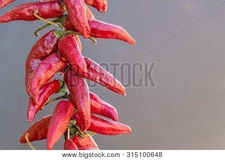 Red Dry Chili Pepper Close-up On Grey Background