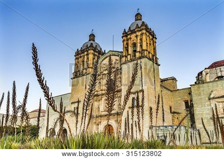 Garden Santo Domingo De Guzman Facade Church Monastery Oaxaca Mexico. Built Between 1575 To 1857