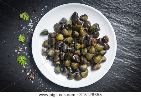 Shijimi Shellfish Freshwater Bivalve Such As Clams Shell On White Plate With Herbs And Spices On Dar