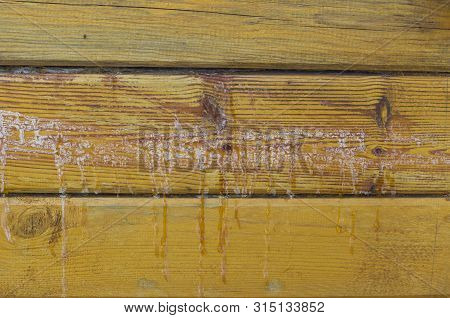 Resin Wood. The Background Is Made Of Logs Of Larch Wood Stands Resin. Larch Timber, Larch Resin