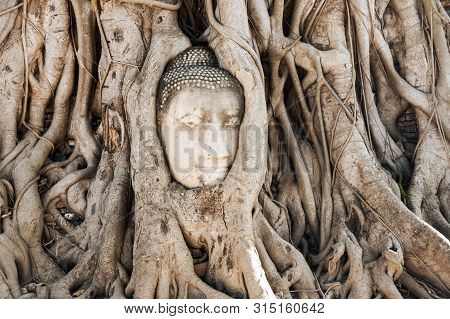 A Stone Head Of Buddha In Wat Prha Mahathat Temple