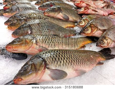 Sazan Fish On Ice, Chilled Fish On The Market For Sale