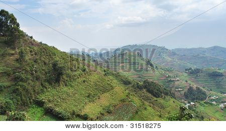 Virunga Dağları havadan görünümü