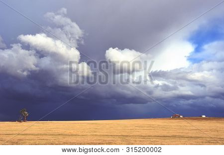 Rural Landscape With Dramatic Storm Moving In Over Yellow Field With Farm Shed And Dead Tree On The 