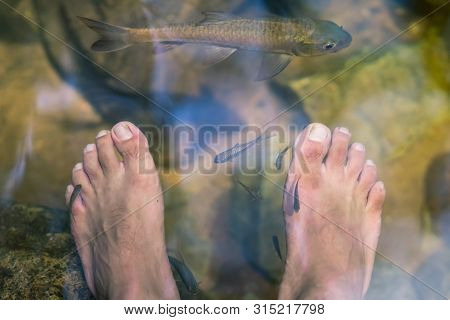 Young Man Having Antimony Fish Spa Therapy And Foot Massage In Waterfall.