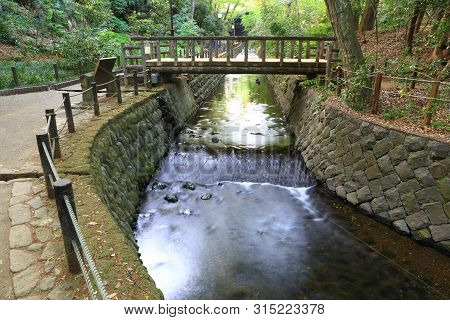 River In Todoroki Ravine Park, Tokyo, Japan