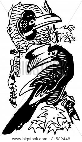 Hornbill