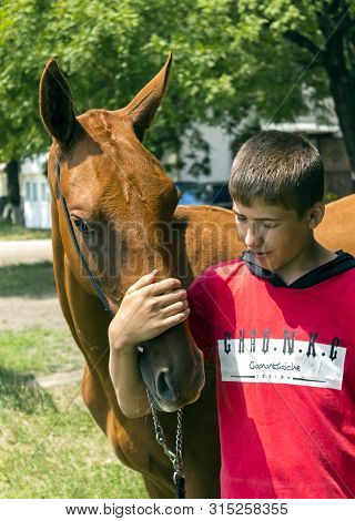 Pyatigorsk,russia - August 03,2019:portrait Of A Akhal-teke Horse Ahd Trainer, Twentieth Mass-meetin