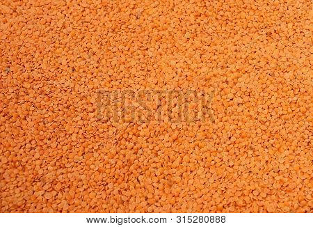 Solid Background Of Dried Legume Lentils. Texture