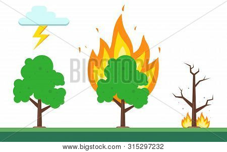Sequence Of Fire In The Forest. The Natural Nature Of Fire. Flat Vector Illustration.