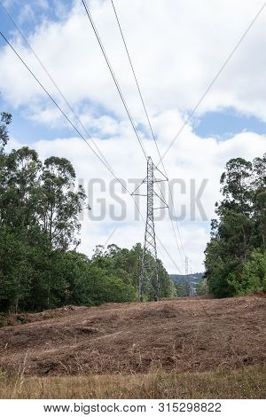 High Voltage Power Line Crossing A Forest