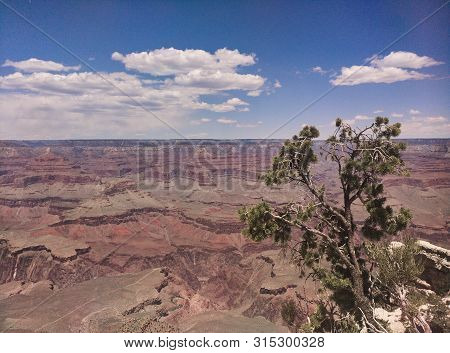 On The Grand Canyon Of The Colorado