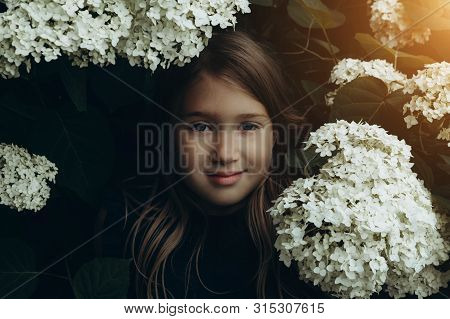 Cute Little Girl In Blooming Hydrangeas. Person And Flowers On Natural Background With Sushine. Chil