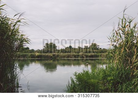 Large Lake On A Sunny Day Against The Background Of A Dense Green Forest, Nature In Russia