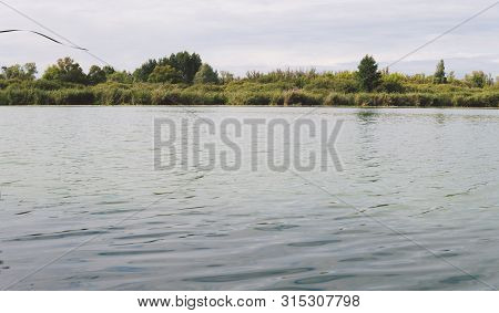 Large Lake On A Sunny Day Against The Background Of A Dense Green Forest, Nature In Russia