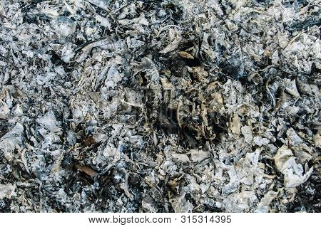 Ashes Texture, May Use As A Background